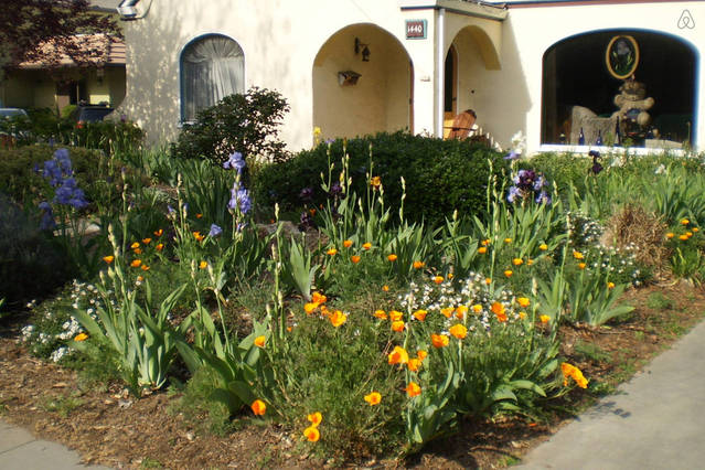 Top Willow Glen Airbnb header image